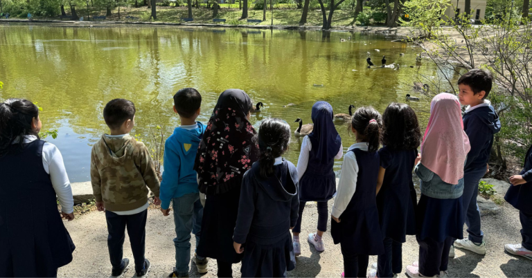 Kindergarten went on a nature walk to explore the outdoors and learn about plants, insects, and their environment.