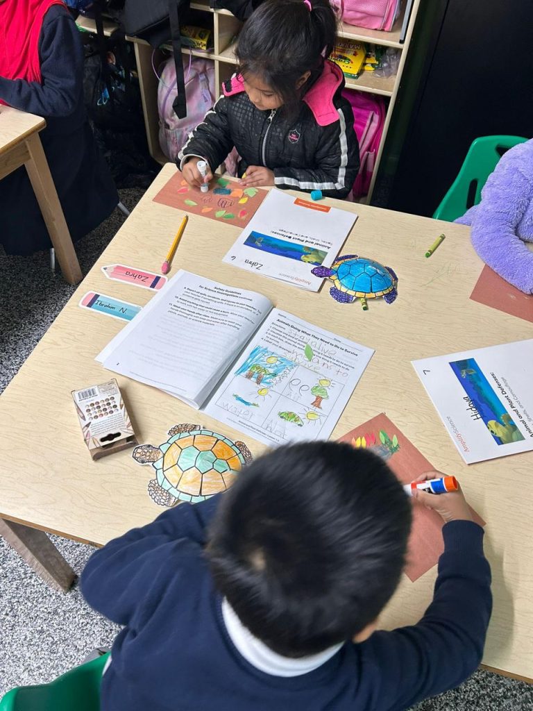 WhatsApp-Image-2024-11-25-at-19.31.27_64f29491